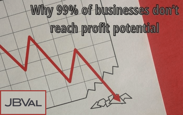 Why 99% of businesses don’t reach profit potential