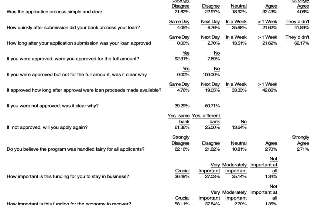 PPP Loan Application Survey Results